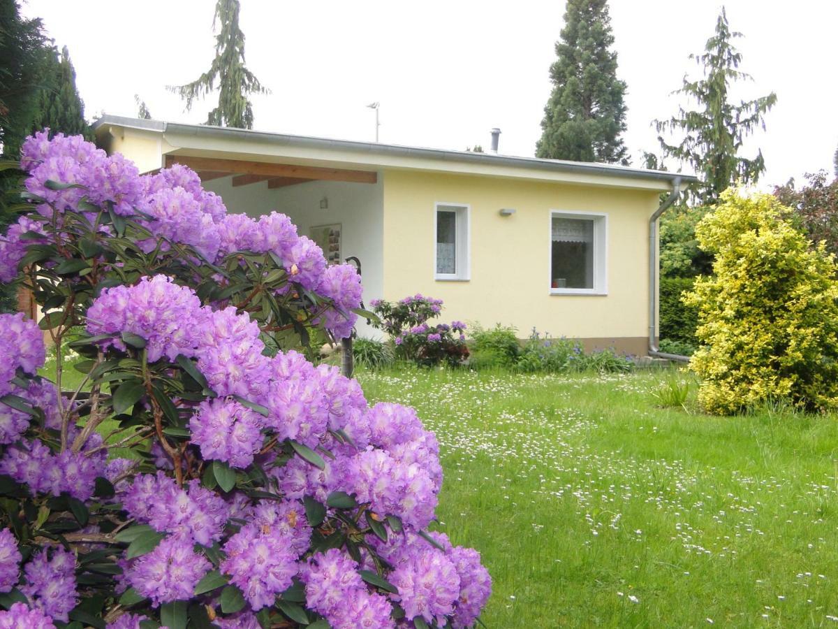 Casa vacanze Sommerhaus Im Gruenen *
