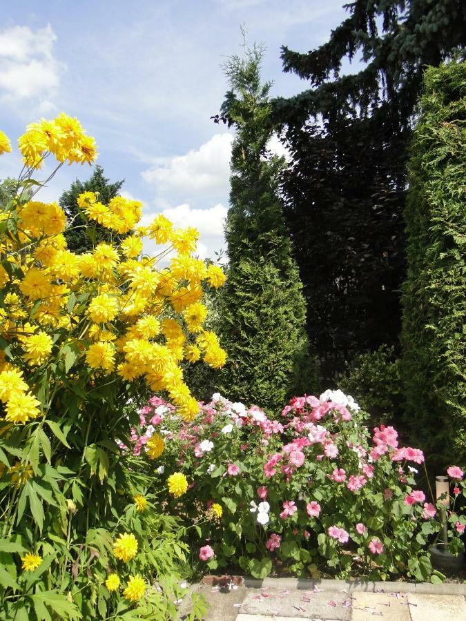 Sommerhaus Im Gruenen * Berlino